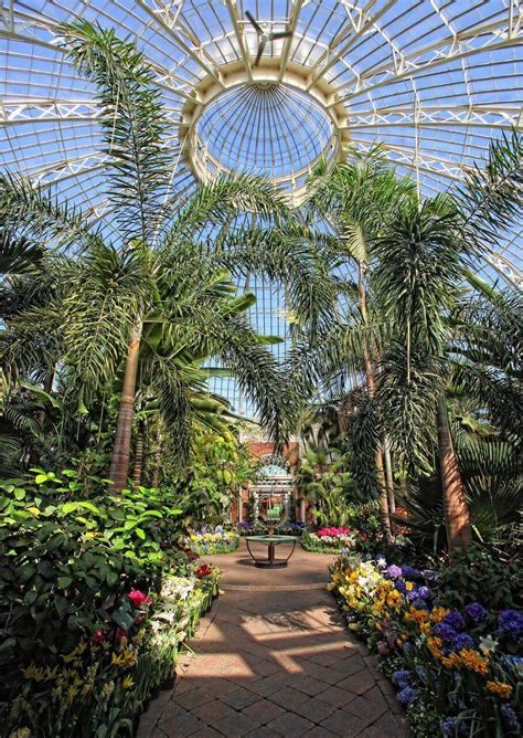 Botanical gardens buffalo - Buffalo and Erie County Botanical Gardens, Buffalo, New York. 35,668 likes · 1,388 talking about this · 70,002 were here. A gathering place where visitors can find peace and harmony and enjoy the...
